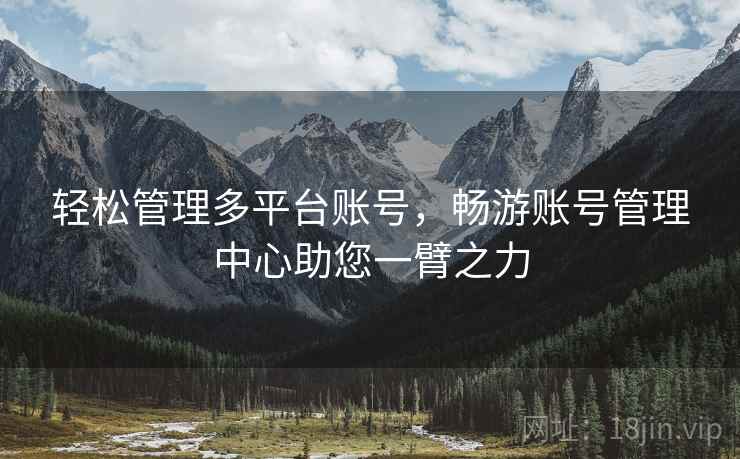 轻松管理多平台账号，畅游账号管理中心助您一臂之力