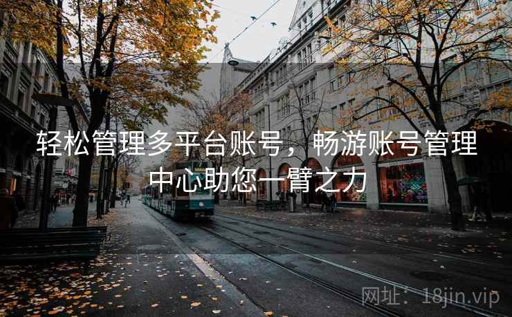 轻松管理多平台账号，畅游账号管理中心助您一臂之力