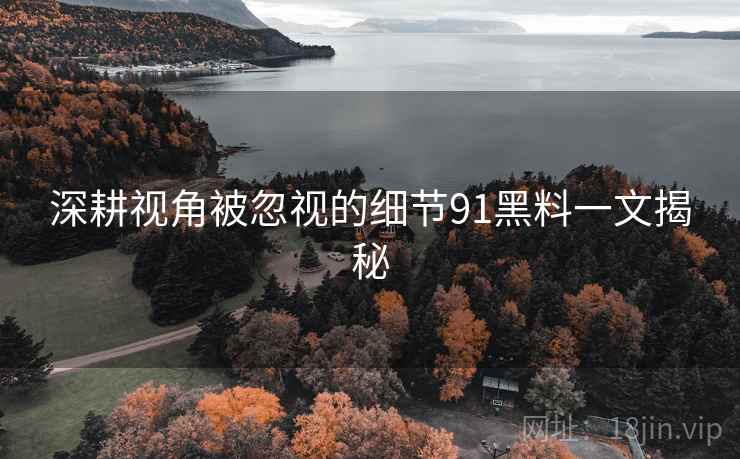 深耕视角被忽视的细节91黑料一文揭秘  第2张