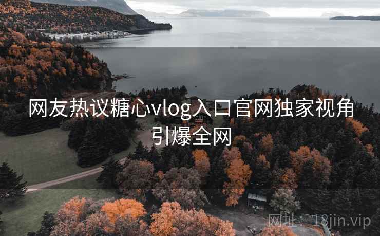 网友热议糖心vlog入口官网独家视角引爆全网