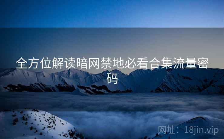 全方位解读暗网禁地必看合集流量密码