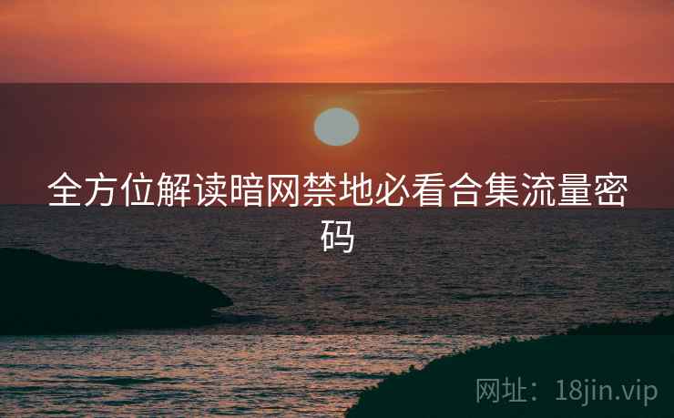 全方位解读暗网禁地必看合集流量密码