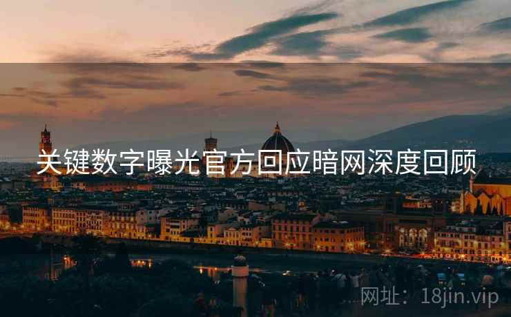 关键数字曝光官方回应暗网深度回顾  第2张