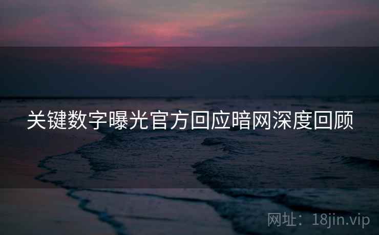 关键数字曝光官方回应暗网深度回顾