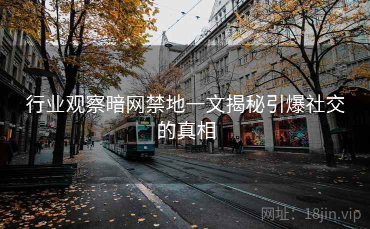 行业观察暗网禁地一文揭秘引爆社交的真相  第2张