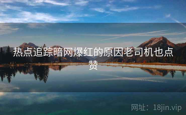 热点追踪暗网爆红的原因老司机也点赞  第1张