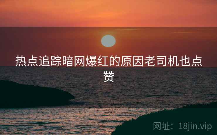 热点追踪暗网爆红的原因老司机也点赞  第2张