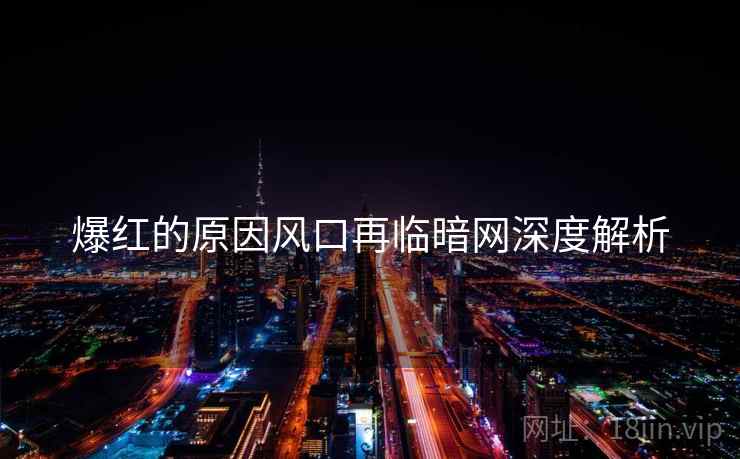爆红的原因风口再临暗网深度解析  第1张