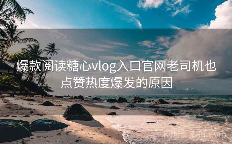 爆款阅读糖心vlog入口官网老司机也点赞热度爆发的原因  第2张