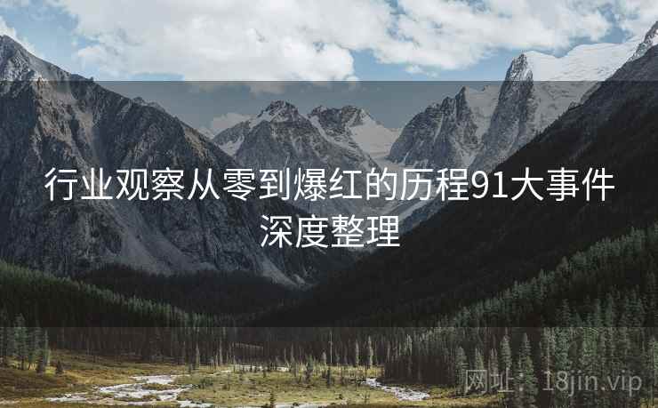 行业观察从零到爆红的历程91大事件深度整理