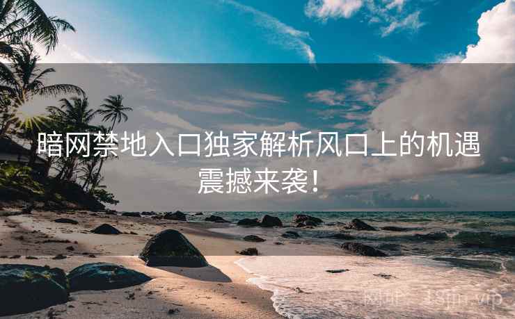 暗网禁地入口独家解析风口上的机遇震撼来袭！